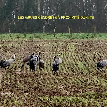 펜션 Les Epervieres *